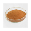 Apple Extract Herbal Extract