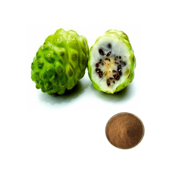 Noni Fruit Powder Herbal Powder