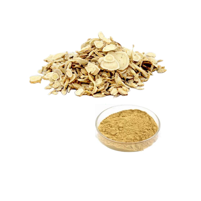 Astragalus Extract Herbal Extract