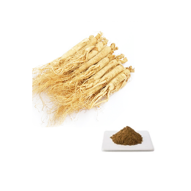 Ashwagandha Extract Herbal Extract