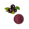 Acai Berry Extract Herbal Extract