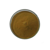 Alga Extract Herbal Extract