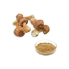 Agaricus Blazei Extract Mushroom Extract