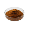 Chaga Mushroom Extract Mushroom Extract