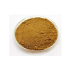 Arnica Extract Herbal Extract