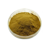 Alisma Plantago Herbal Extract