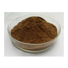 Arctium Lappa Extract Herbal Extract