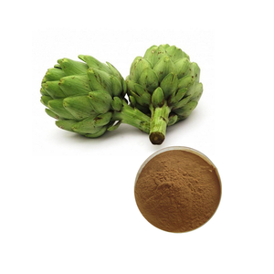 Artichoke Extract Herbal Extract