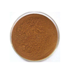 Reishi Mushroom Extract Mushroom Extract