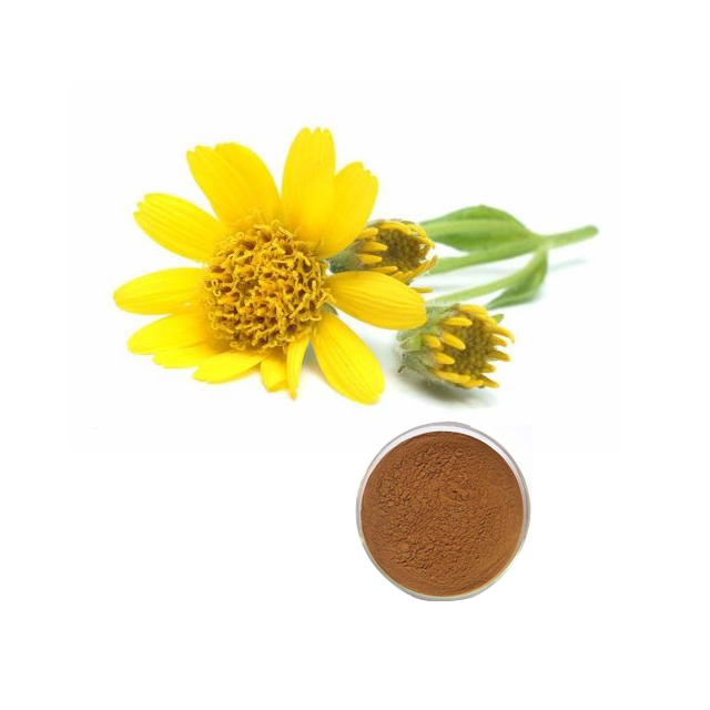 Arnica Extract Herbal Extract