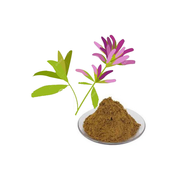 Alfalfa Extract Herbal Extract