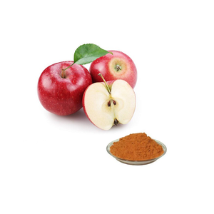 Apple Extract Herbal Extract