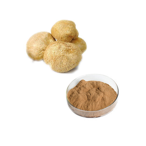 Hericium Erinaceus Extract Mushroom Extract